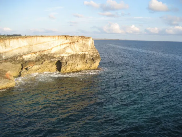 What Happens When You Jump Off a Cliff